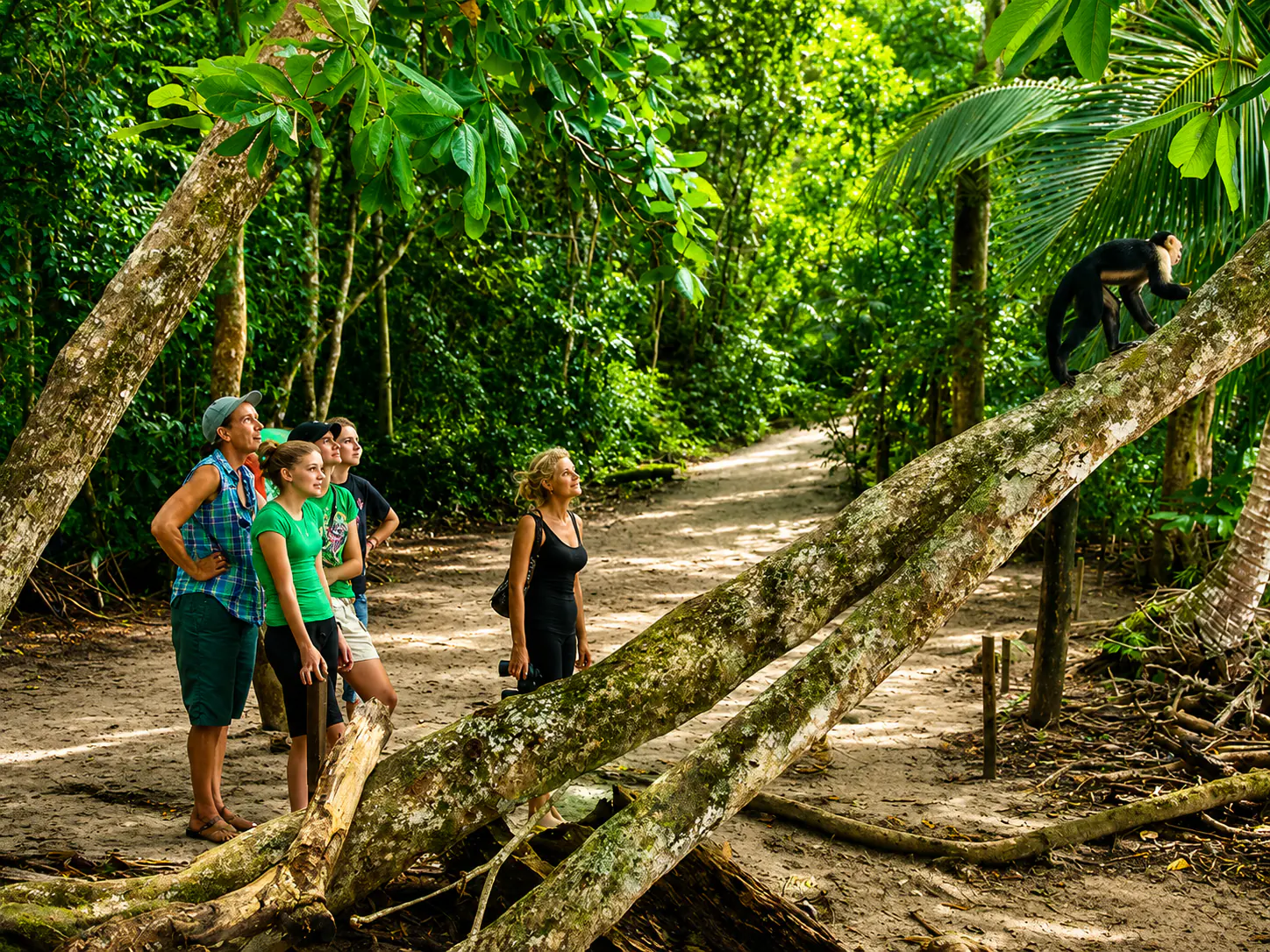 Manuel Antonio - Experience