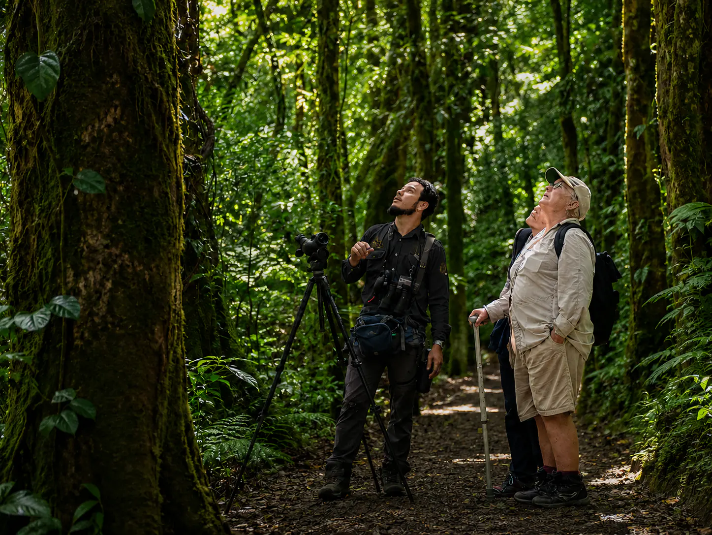 Expert naturalist guide in Costa Rica cloud forest